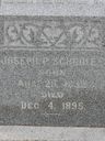 Record image of William Joseph Brown (nacida Scholey (born Schooley))
