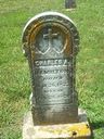 Record image of Charles Arnold Hamilton