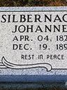 Record image of Johannes Silbernagel