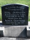 Record image of Karl Evald Johanson