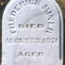 Record image of Friedrich Meinert