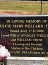 Record image of Dulcie Mary Wellard (o.s. Robinson)