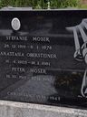 Record image of Peter Moser