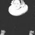Record image of Antje Tincodr van Teyens (born van Andringa)