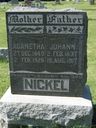 Record image of Johan J Nickel