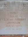 Record image of Mont Johnson
