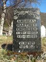 Record image of Andreas Martinus Olsson