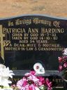Record image of Patricia Ann Harding (born Delaney)