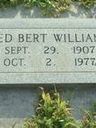 Record image of Ted williams