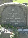 Record image of Mary Elizabeth Allison (born Huber)