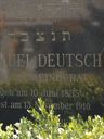 Record image of Samuel Selig Deutsch