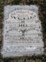 Record image of Clarissa Jane Webb, Sr (born Lee)
