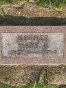 Record image of * Mary Janette Tanner (born Muirhead)