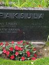 Record image of Matti Paksula