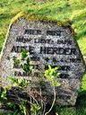 Record image of Auke Herder
