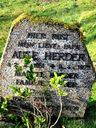 Record image of Auke Herder