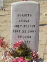 Record image of Juanita Ayala (born Fernandez)