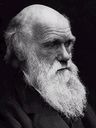 Record image of Charles Robert Darwin