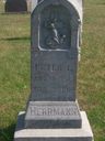 Record image of Peter L. Herrmann