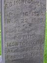 Record image of Esther Montgomery (born Tracy)
