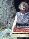 Record image of Anna Lindh (o.s. Karlsson)