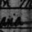 Record image of Liisa Heikintytär "Paakkonen,Paaconen" Henriksdotter (o.s. Paakkonen)
