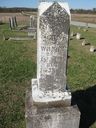 Record image of John Green Wilkins