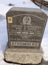 Record image of Anders Gustaf Stromberg