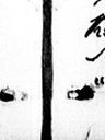 Record image of Henrika Josefina Redlund (o.s. Hansson)