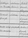 Record image of Magdalen Thomas