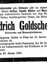 Record image of Siegfried Friedrich Goldscheider