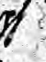 Record image of Charlotte Henriette Werner (geb. Strümke)
