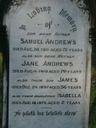 Record image of Jane Andrews (born Martin)