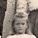 Record image of Irene Breitenbach (geb. Noll)