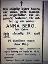 Record image of Anna Pauline Berg (born Arnesdatter Nyhus)