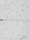 Record image of Magdalena Marianna Piotrowska