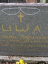 Record image of Frans Kaapo Kaaponpoika Lilja