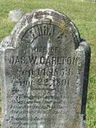 Record image of Levira Evelyn "Vira" Carlton (born Cash)
