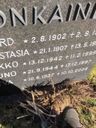 Record image of Edvard Matinpoika Ronkainen