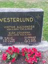 Record image of Elsa Johanna Westerlund (o.s. Sten)