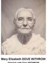 Record image of Lillian Ellen Cooper (born Davis)