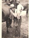Record image of David Willison Dale