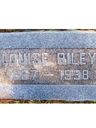 Record image of Louisa Ellen Riley