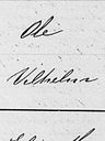 Record image of Vilhelm Jensen