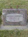 Record image of Michael George Schwartz