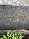 Record image of Aapeli Martikainen