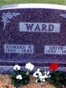 Record image of Howard Wilson Ward
