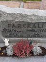 Record image of Anna Mikontytär Parkkali (o.s. Pörsti)