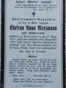 Record image of Catharina Schulte (geb. Hillebrand)