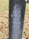 Record image of Mary Elizabeth Lusk (born Shelton)